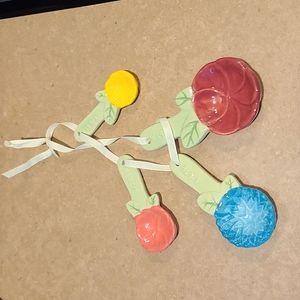 Pioneer Woman Ceramic/Glass Measuring Spoon Set